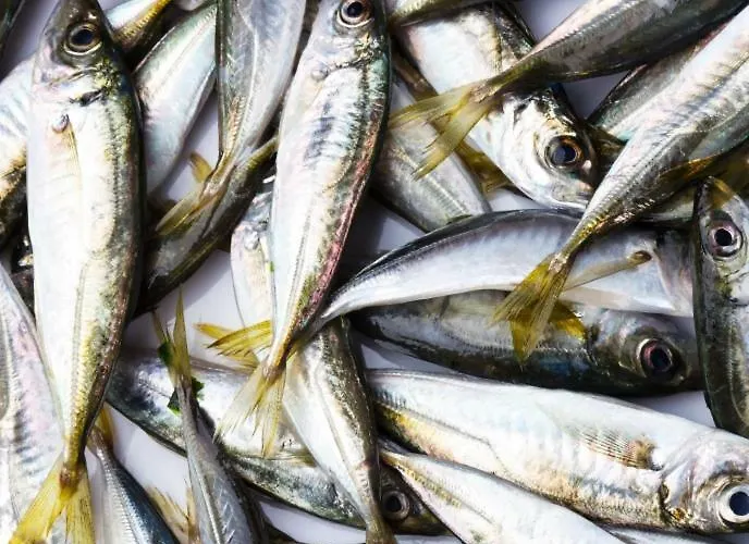 сдам дом у моря Nyaraló